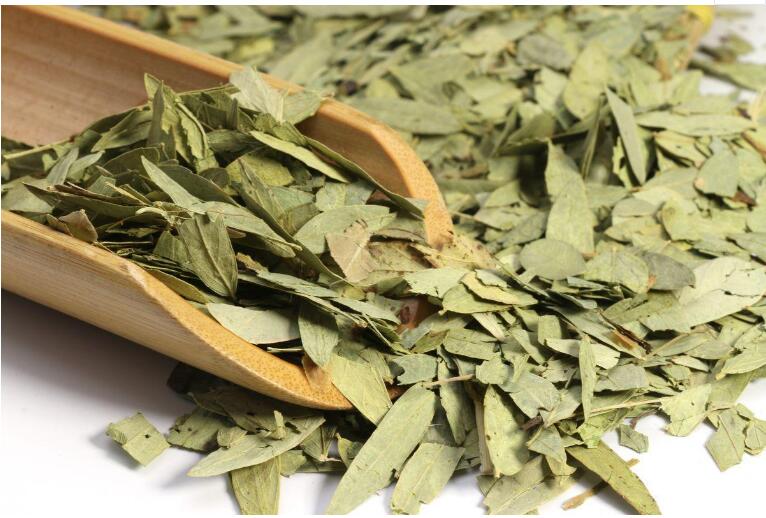 印度尼西亞番瀉葉進口報關(guān)手續(xù)及注意事項